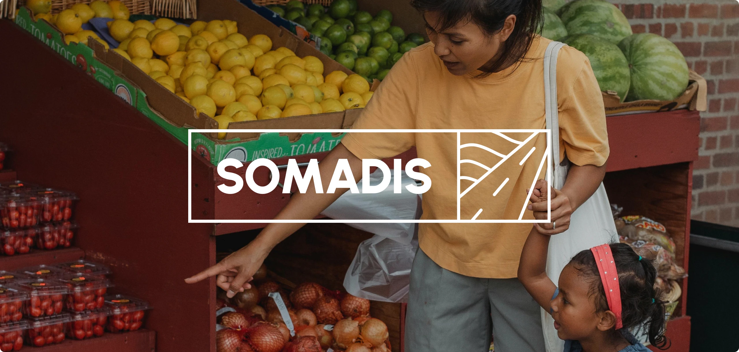 SOMADIS_vignette_horizontale.jpg